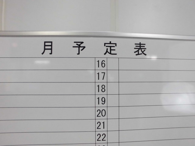 月予定表 (その他) / 両面/0009875-1